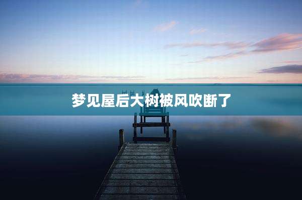 梦见屋后大树被风吹断了