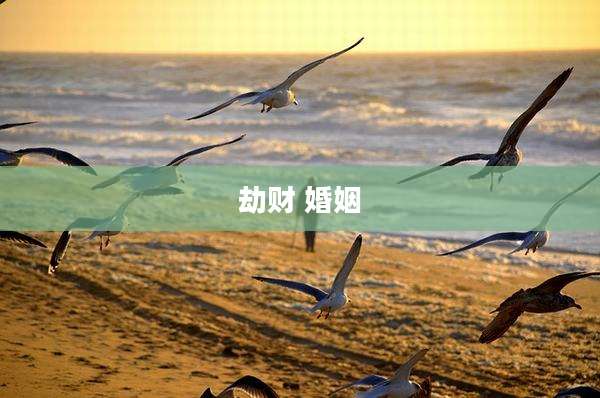 劫财 婚姻