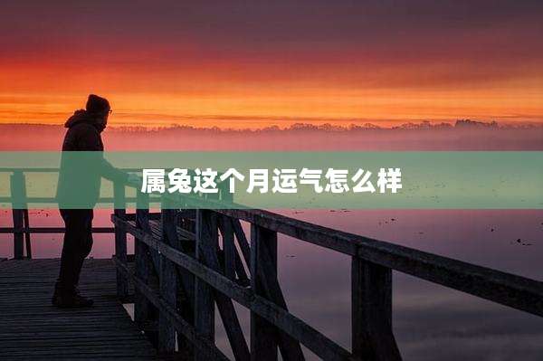 属兔这个月运气怎么样