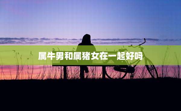 属牛男和属猪女在一起好吗