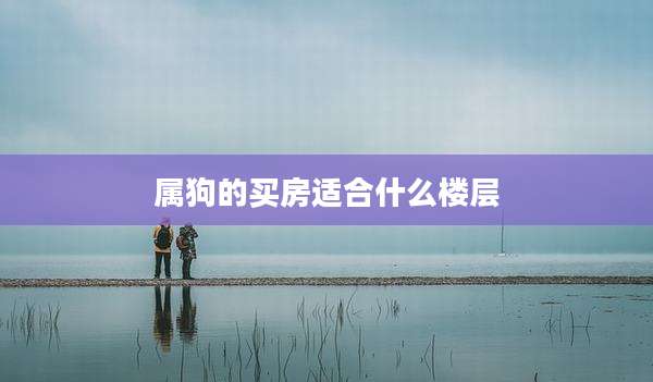 属狗的买房适合什么楼层