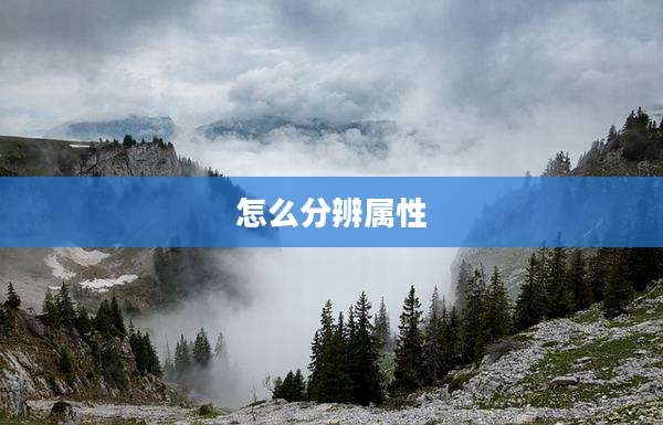 怎么分辨属性