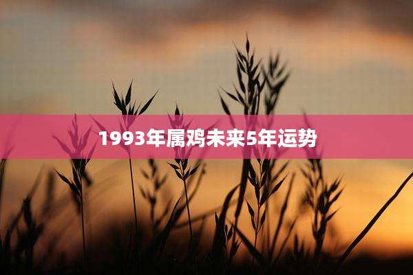 1993年属鸡未来5年运势