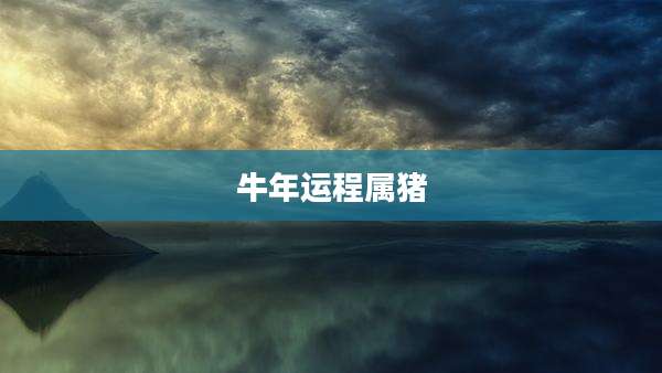 牛年运程属猪