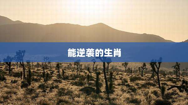 能逆袭的生肖