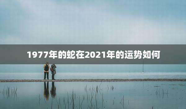 1977年的蛇在2021年的运势如何