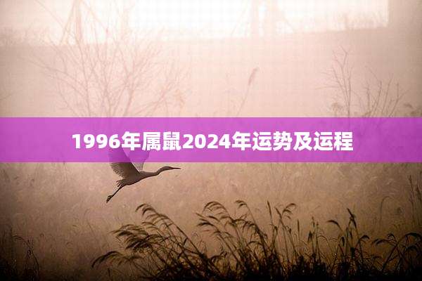 1996年属鼠2024年运势及运程