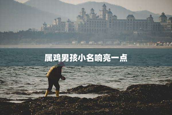 属鸡男孩小名响亮一点