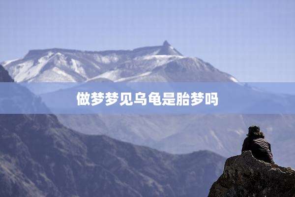 做梦梦见乌龟是胎梦吗