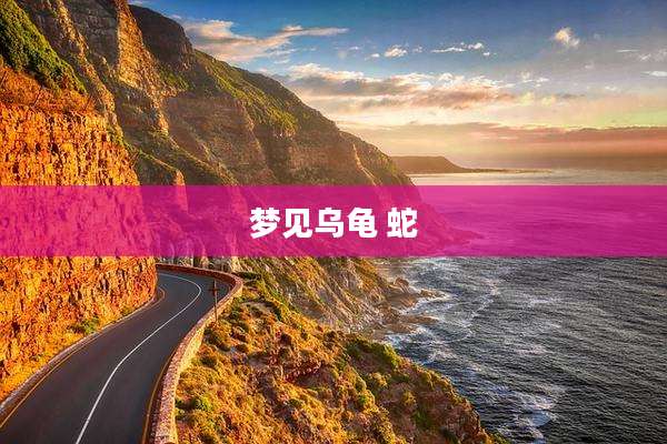 梦见乌龟 蛇