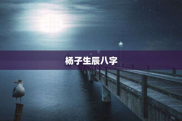 杨子生辰八字