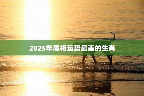 2025年属相运势最差的生肖