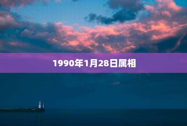 1990年1月28日属相