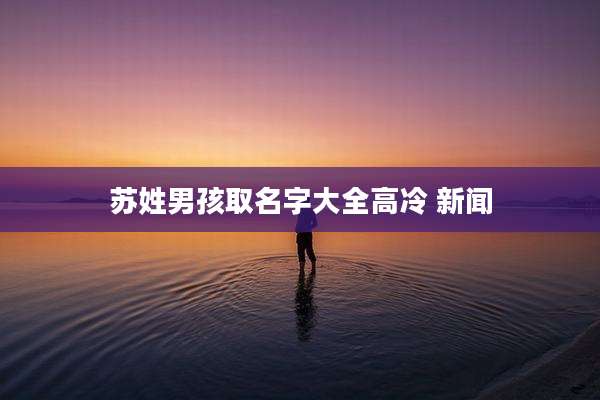苏姓男孩取名字大全高冷 新闻