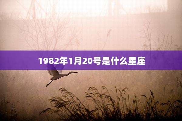 1982年1月20号是什么星座