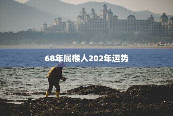 68年属猴人202年运势