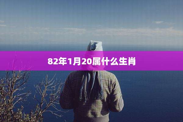 82年1月20属什么生肖