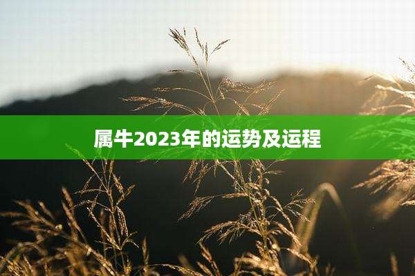 属牛2023年的运势及运程