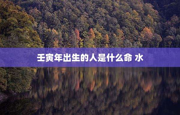壬寅年出生的人是什么命 水