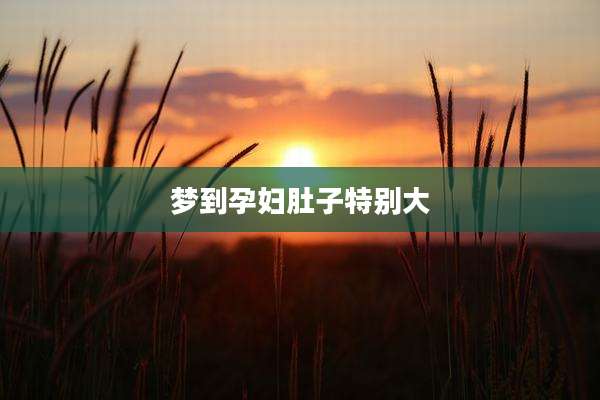 梦到孕妇肚子特别大
