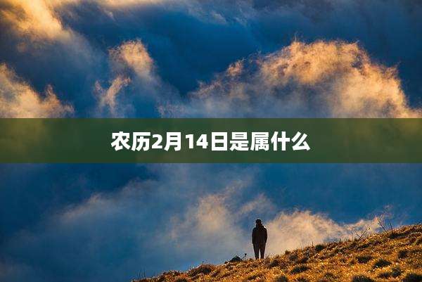 农历2月14日是属什么