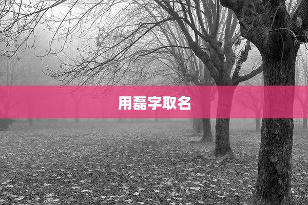 用磊字取名