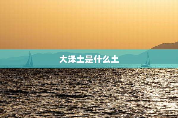 大泽土是什么土