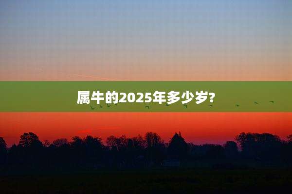 属牛的2025年多少岁?