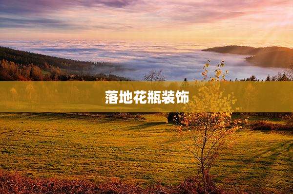 落地花瓶装饰