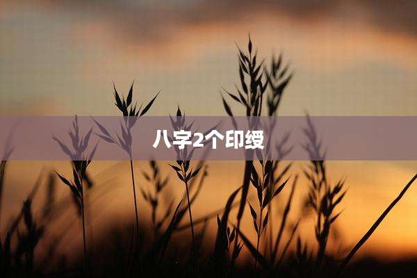 八字2个印绶