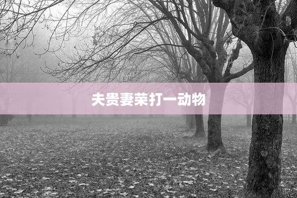 夫贵妻荣打一动物
