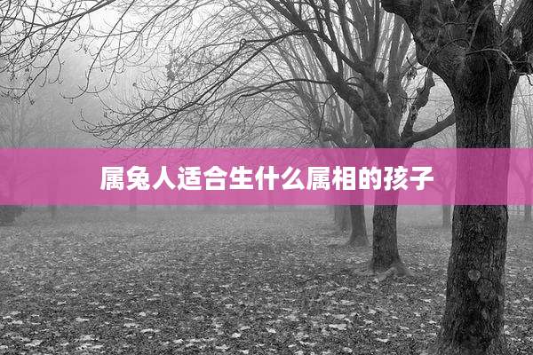 属兔人适合生什么属相的孩子