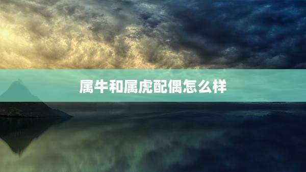 属牛和属虎配偶怎么样