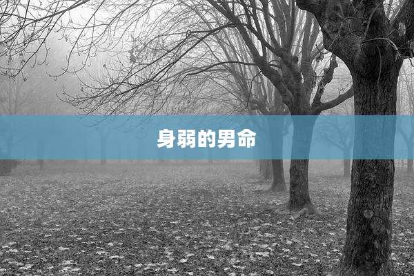 身弱的男命