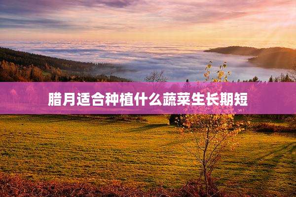 腊月适合种植什么蔬菜生长期短