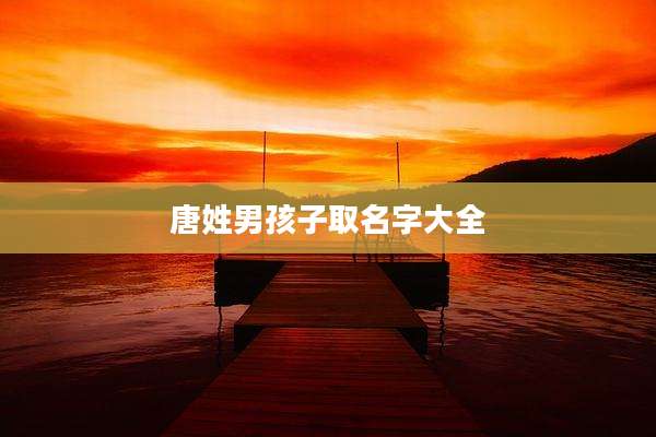 唐姓男孩子取名字大全
