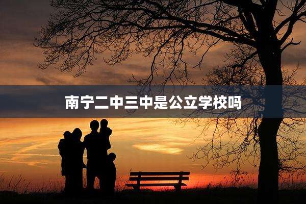 南宁二中三中是公立学校吗
