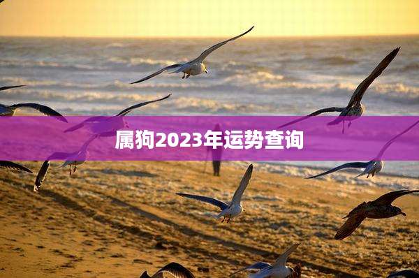 属狗2023年运势查询