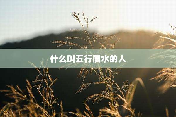 什么叫五行属水的人