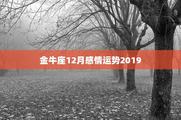 金牛座12月感情运势2019