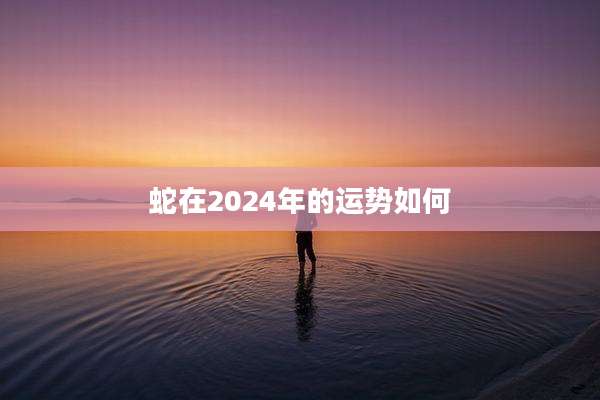 蛇在2024年的运势如何