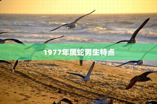 1977年属蛇男生特点