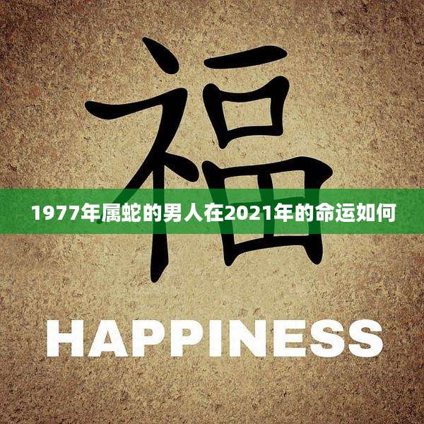 1977年属蛇的男人在2021年的命运如何