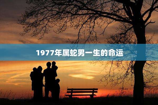 1977年属蛇男一生的命运