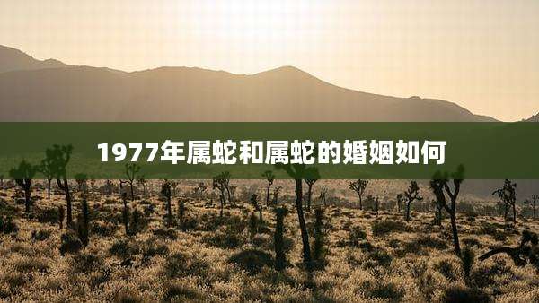 1977年属蛇和属蛇的婚姻如何