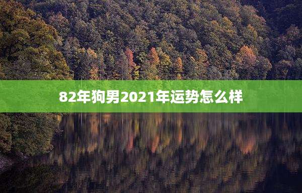 82年狗男2021年运势怎么样