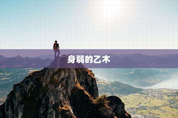 身弱的乙木
