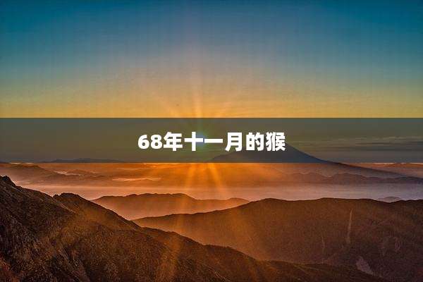 68年十一月的猴