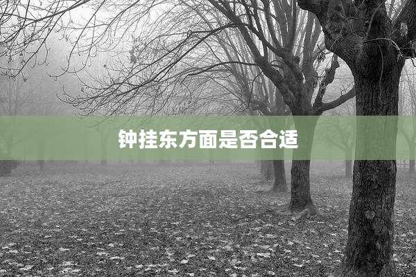 钟挂东方面是否合适