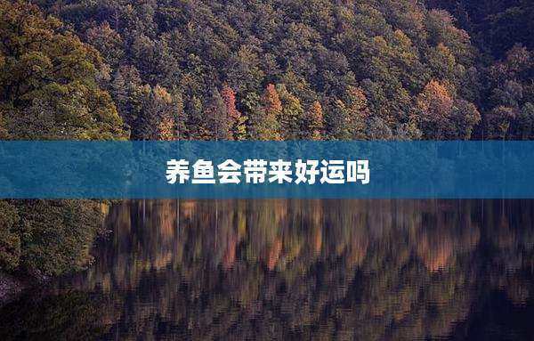 养鱼会带来好运吗